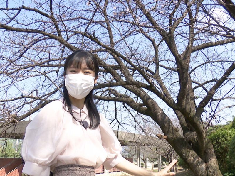 「春が来た！」と勘違い！?