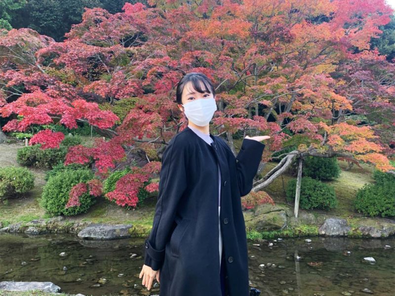 きょう19日「いまココ！ナビ」で高松市の栗林公園から「秋のライトアップ」を生中継✨