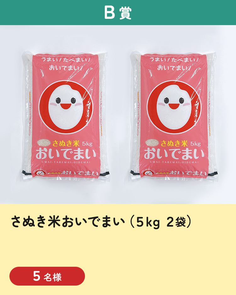 [B賞] さぬき米おいでまい（5kg 2袋）
