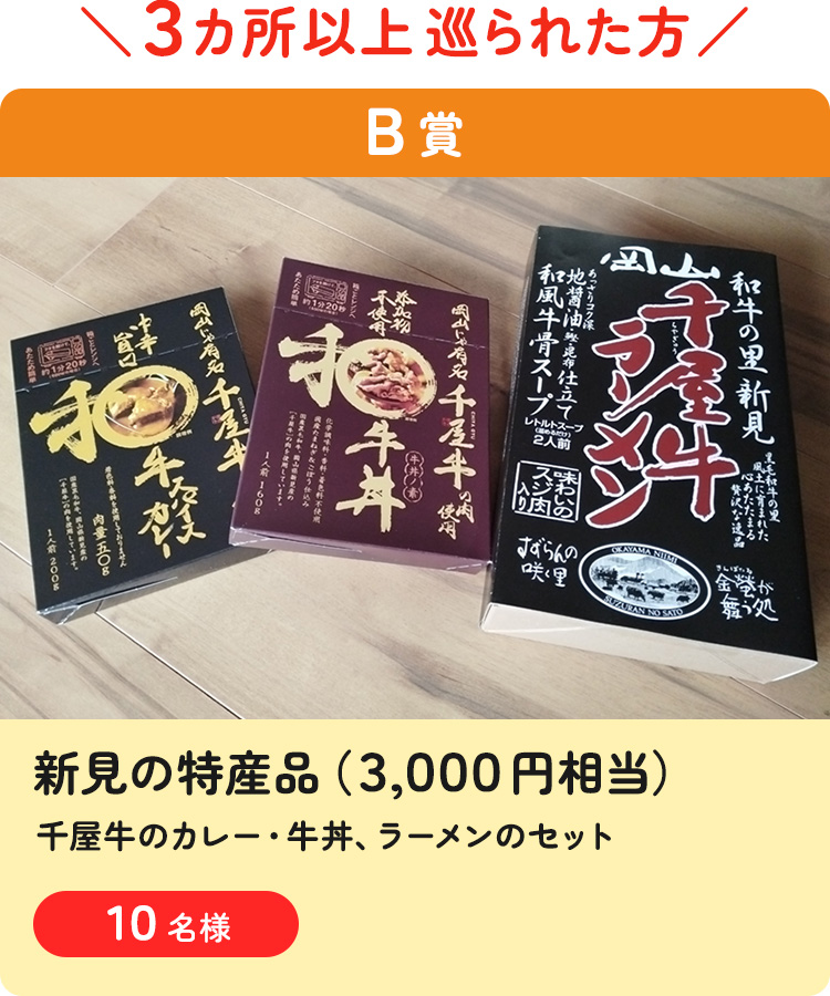 新見の特産品(千屋牛のカレー・牛丼、ラーメンのセット)(3,000円相当)