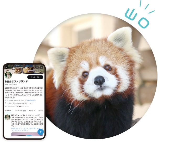 カワイイ動物